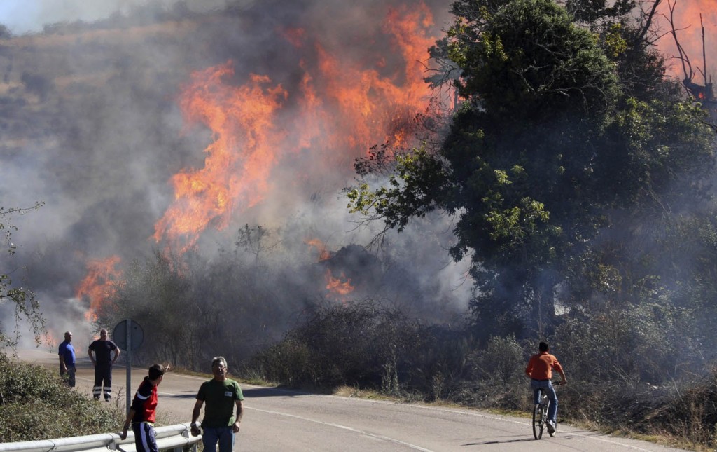 ACTIVO UN INCENDIO INTENCIONADO DE PINO JOVEN EN EL SUR DE SALAMANCA